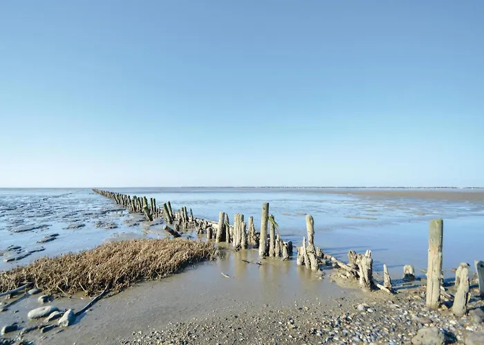 Three-bedroom In Nyaraló